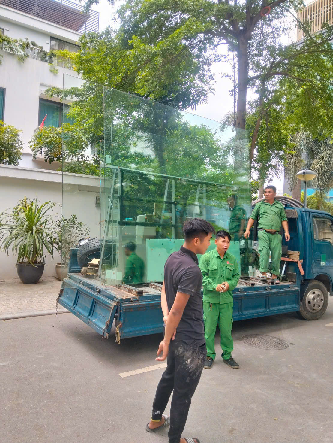 Tấm kính lớn được vận chuyển bằng xe đến công trình có nhiều cây xanh